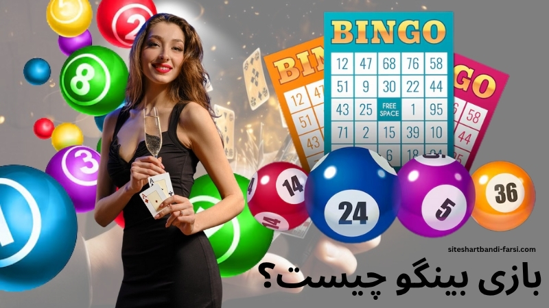 بازی بینگو چیست؟